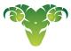 Avatar de tortexmx