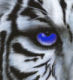 Avatar de sergit