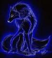 Avatar de lobunia1