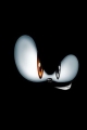 Avatar de darijrt