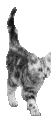 Avatar de jac5