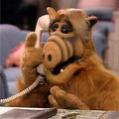 Avatar de Alf