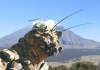 Avatar de topoyiyomayor