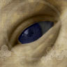 Avatar de LEBAMDER