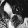 Avatar de carhenri
