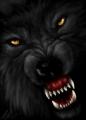 Avatar de Mr Wolf