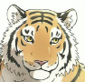 torande