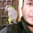 Avatar de DonOmarRamiro