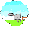 Avatar de Podo